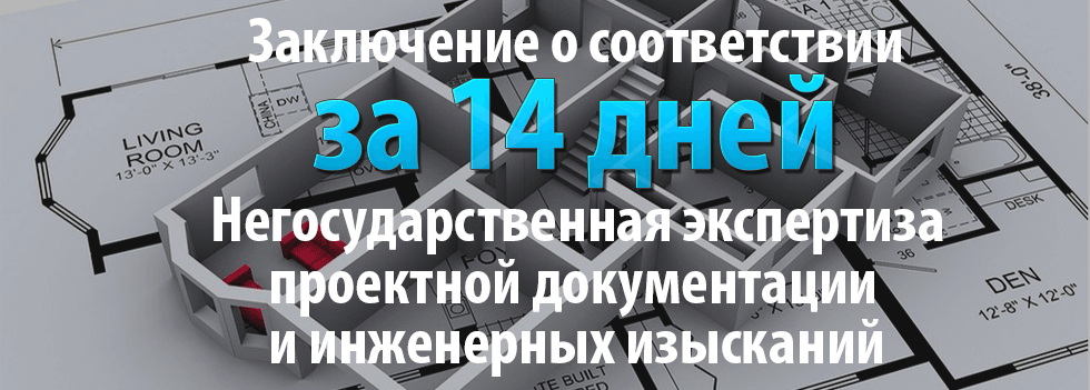 Негосударственная экспертиза за 14 дней